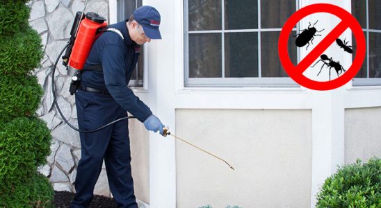 Hafik Hamam Böceği İlaçlama böcek ilaçlama ve haşere kontrolü — ilaclama-tr.com
